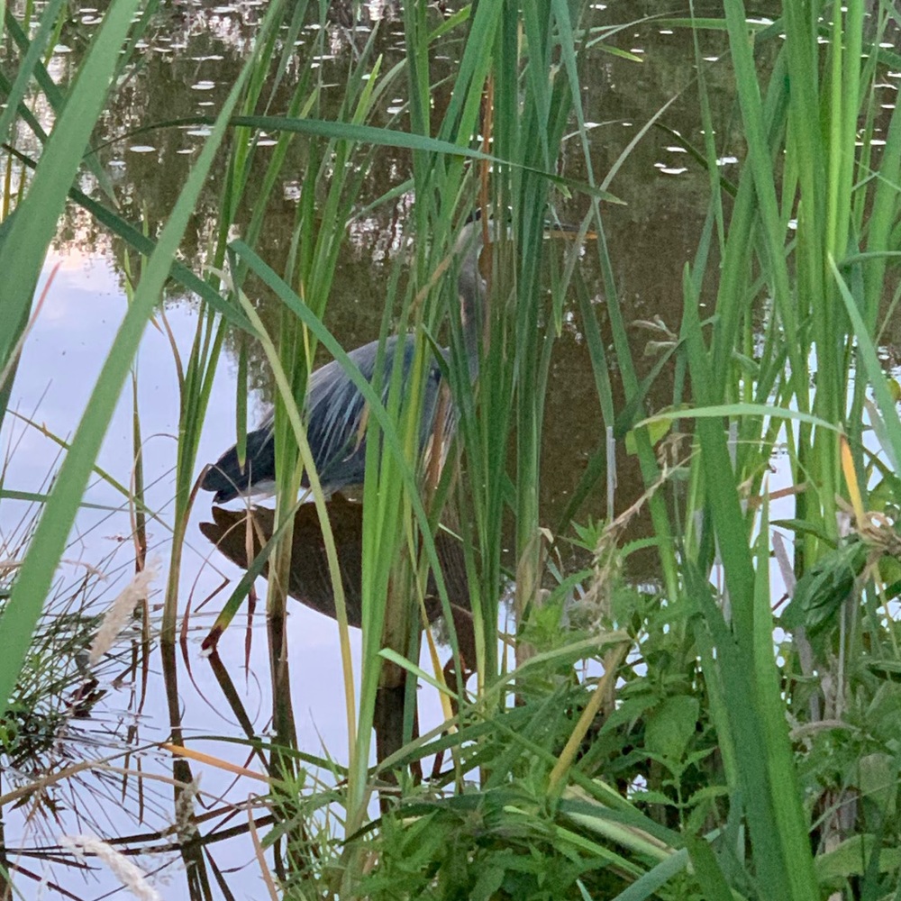 Meet your Posher, Mike